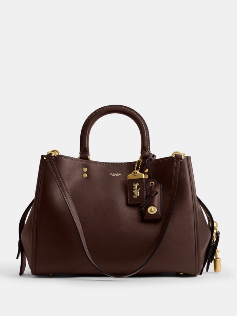 Coach Rogue 31 - Maple